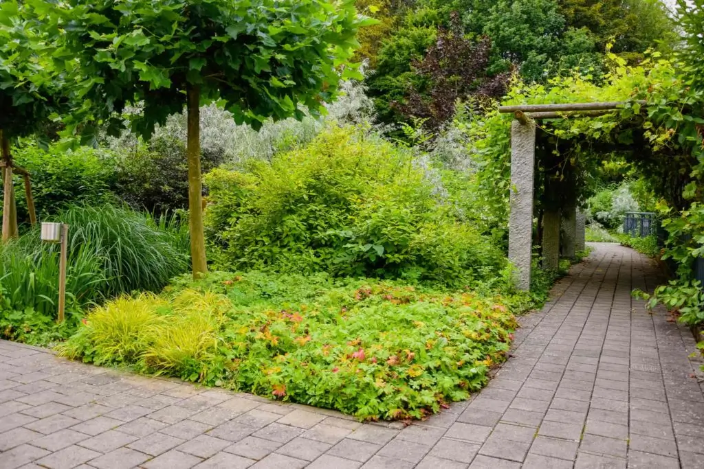 Grün bepflanzte Parkanlage mit gepflasterten Wegen und einer Pergola mit Kletterpflanzen