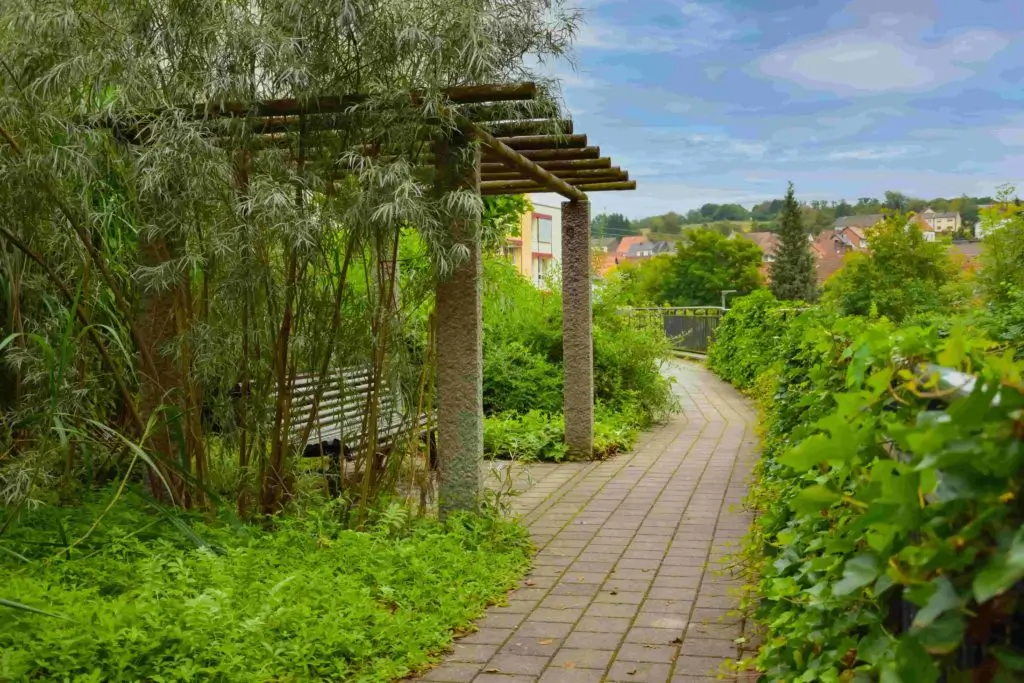 Gepflasterter Weg mit Pergola und Bank links umgeben von dichter grüner Vegetation